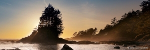 Botanical Beach, Juan De Fuca, Vancouver Island