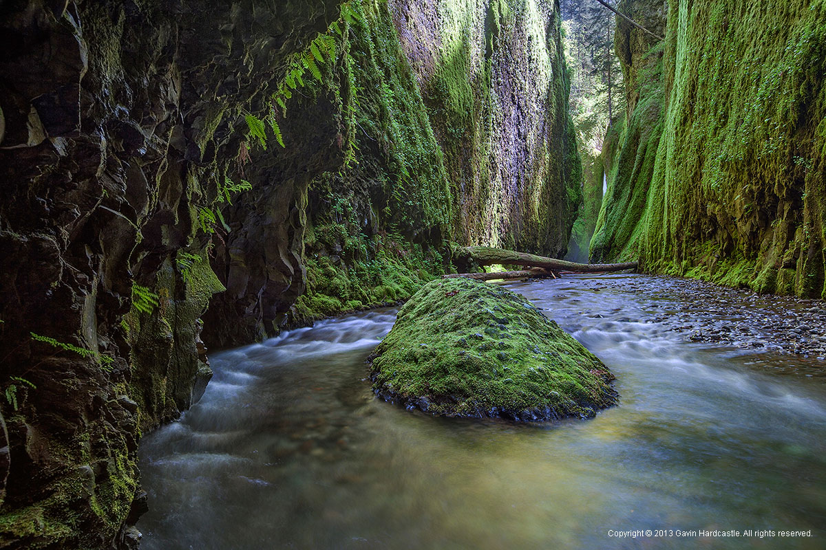 Oneonta Gorge, Columbia River Gorge, Oregon