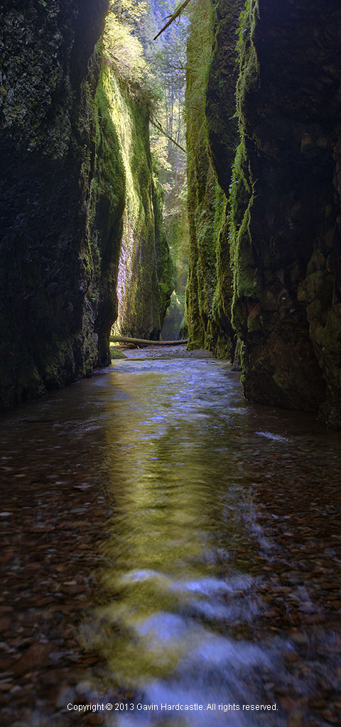 Photo Guide to Oneonta Gorge Road Trip
