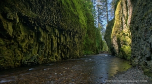 Photograophy Road Trip to Oneonta Gorge.