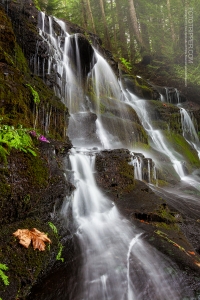 Colliery Dam Falls Photo Tips