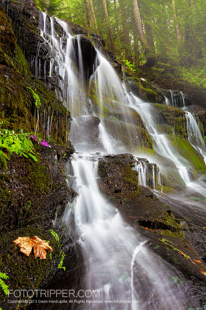 Colliery Dam Falls Photo Tips