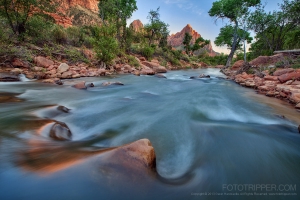 Photo Tips - How to Take Sharper Photos