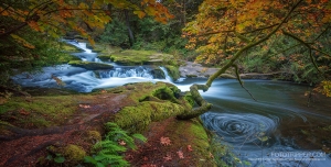 8 Fantastic Fall Photo Tips for Autumn Landscapes