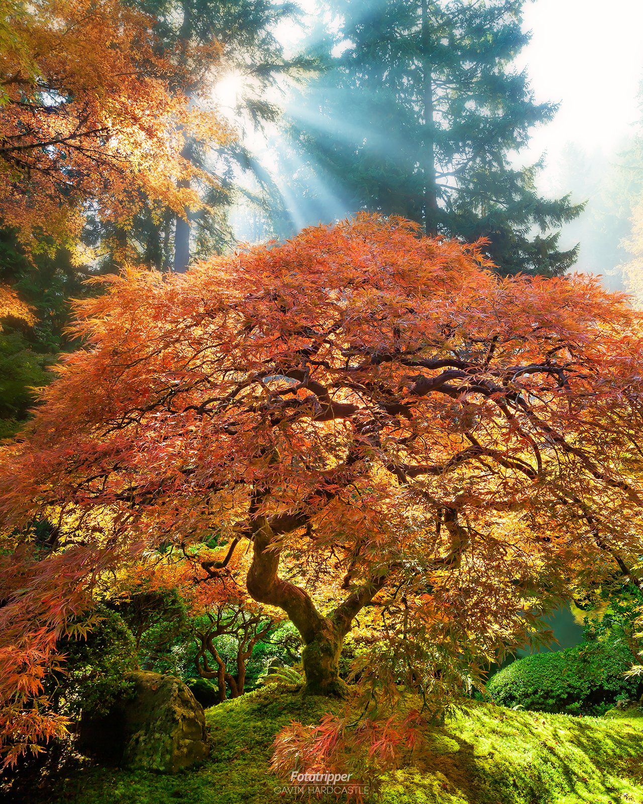 Portland Japanese Gardens Photo Tips