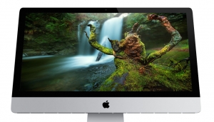 Ferocious Stump - Free Desktop Wallpaper by Gavin Hardcastle