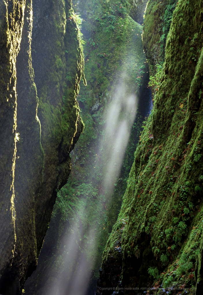 Oneonta Gorge, Columbia River Gorge, Oregon