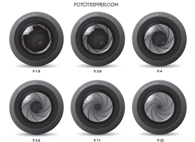 Aperture Infographic