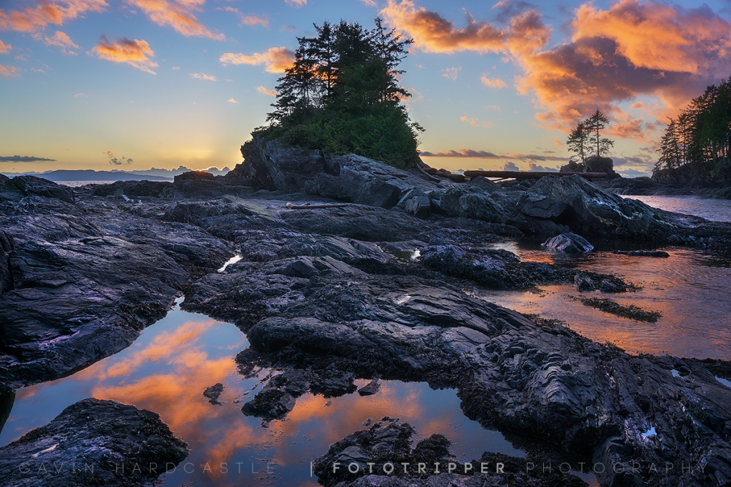 Botanical Beach, Port Renfrew