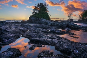 Botanical Beach, Port Renfrew