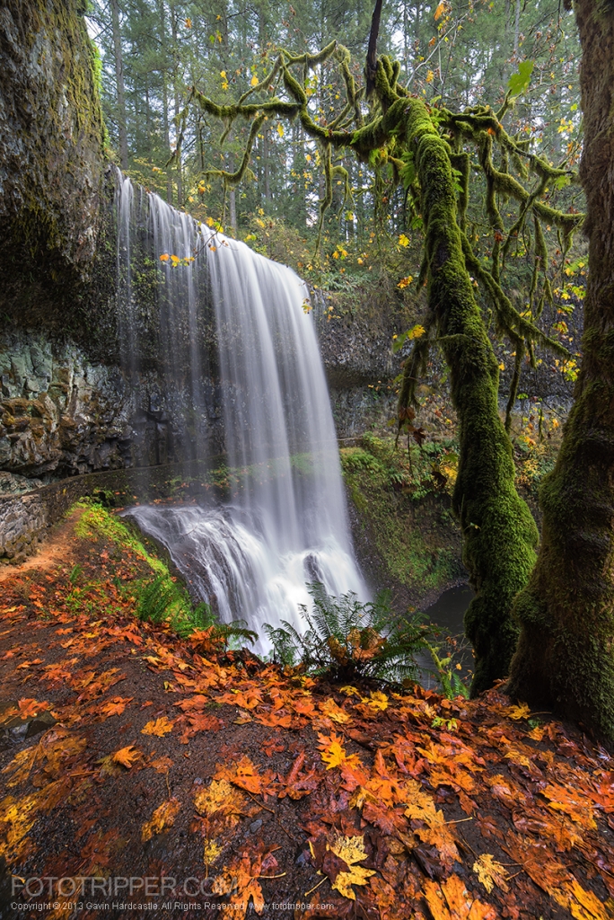 Silver Falls State Park