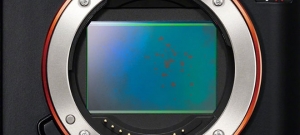 Dirty Sensor of Mirrorless Camera