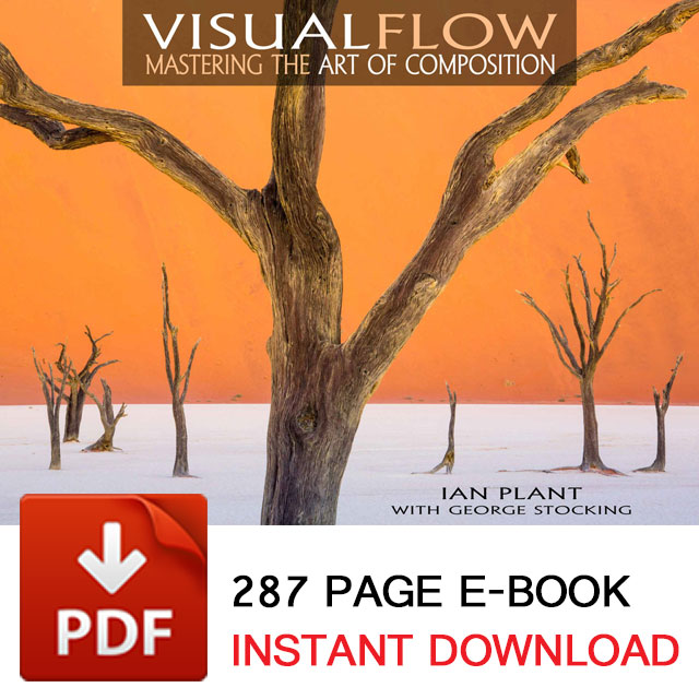 Visual Flow - The Composition Ebook from Ian Plant