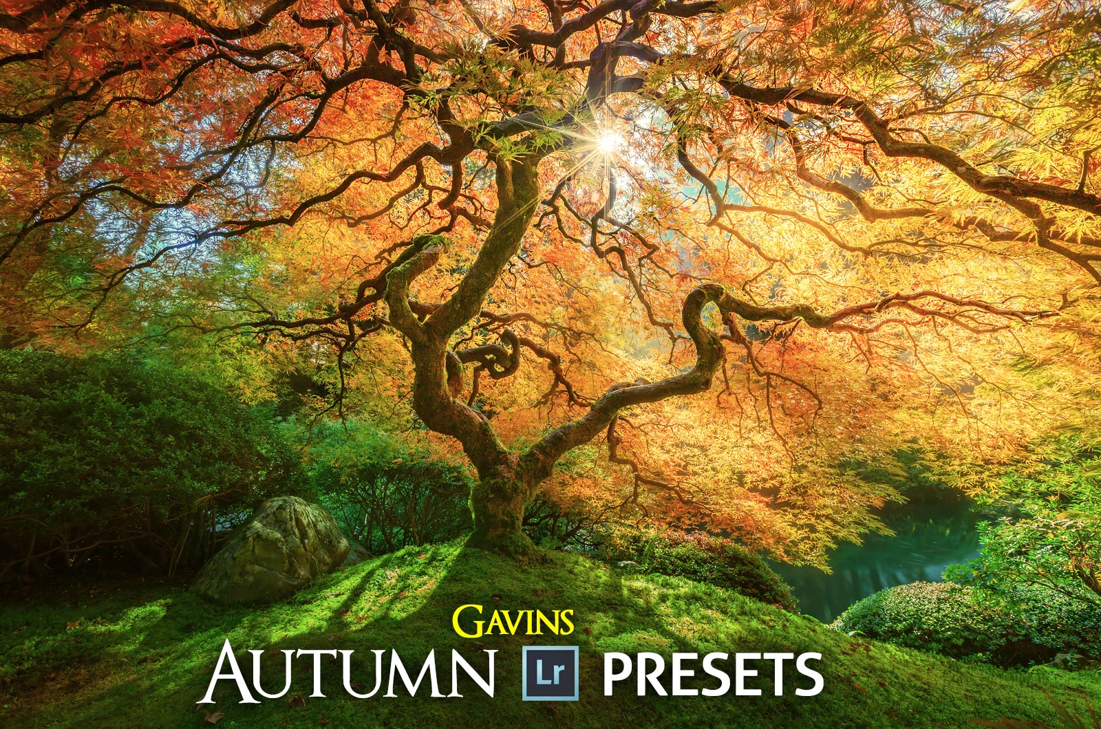 Gavins Autumn Lightroom Presets