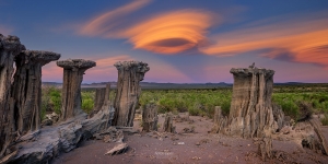 Mono Lake Photography Workshop