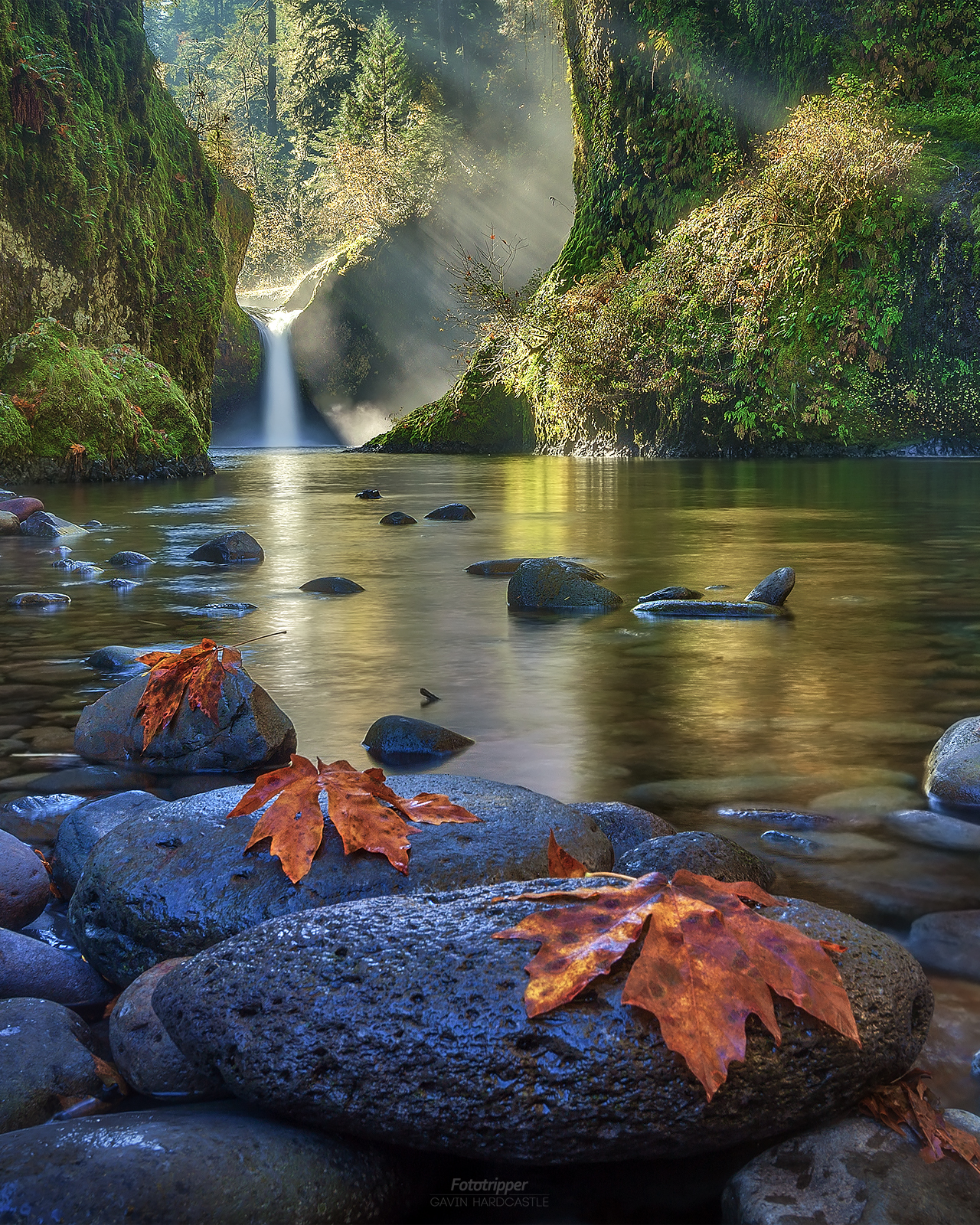 'Steamy Mornings' - Punchbowl Falls, Oregon