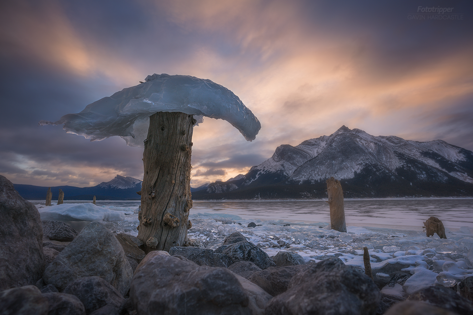Iceshrooms Near Windy Point at Abraham Lake