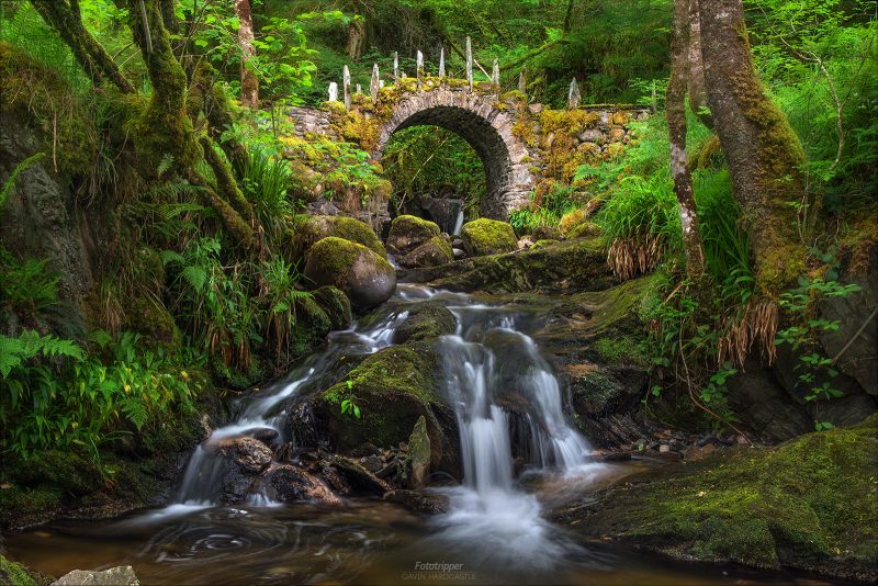 The Fey Realm - Scotland Photography Workshop - Gavin Hardcastle