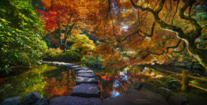 'Bounce Light' - The Butchart Gardens