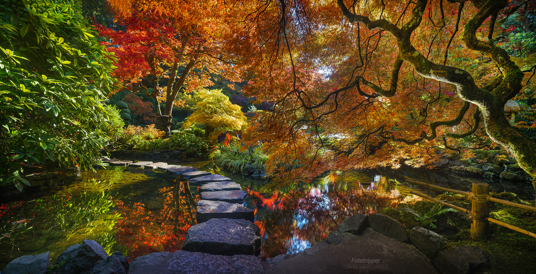 'Bounce Light' - The Butchart Gardens