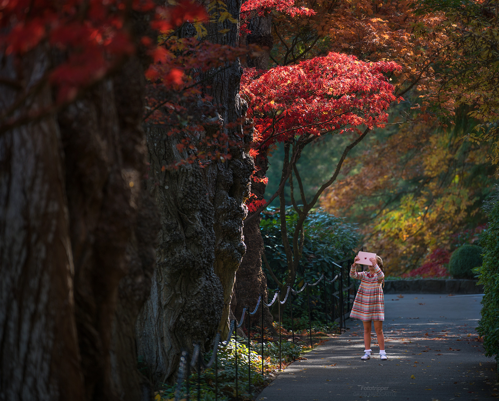 Young Photographer of The Year