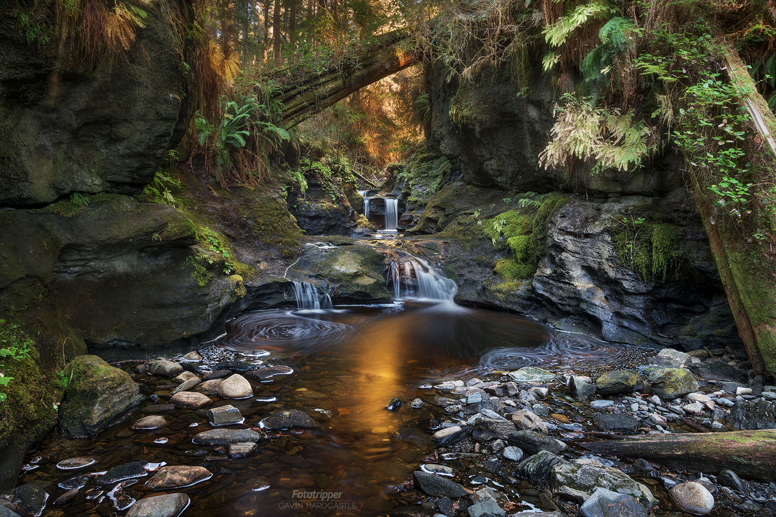 Payzant Creek Falls, Vancouver Island