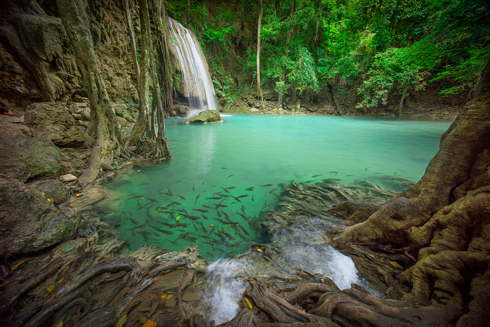 Photo Workshops in Thailand