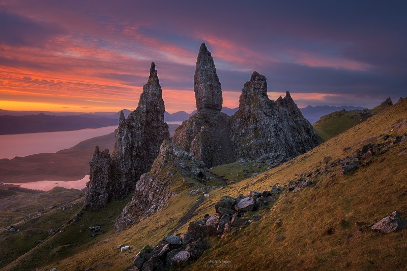 'Sheepish' Old Man of Storr, Isle of Skye Fototripper 'Sheepish' Old Man of Storr, Isle of Skye Fototripper