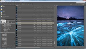 Adobe Bridge - Image Selection Process for 'Hairline Fracture'
