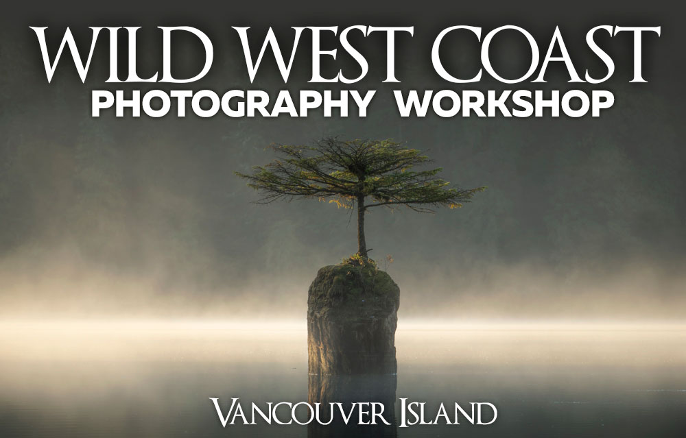 Wild West Coast Photography Workshop with Gavin Hardcastle and Adam Gibbs